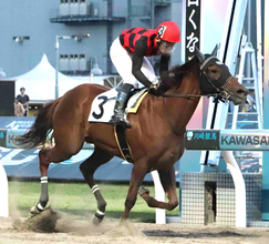 デビュー３戦３勝　小町特別を圧勝したゴールドコマチ　古岡勇樹騎手とともに重賞初制覇を狙う