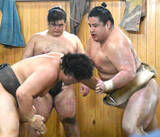 「十両・若ノ勝が安青錦、伯桜鵬ら同学年の活躍に対抗心「先を越されているので、早く追いつかないといけない」」の画像1