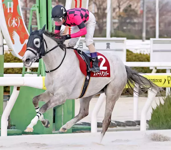 園田・コウノトリ賞は１番人気のスマートアンバーがＶ　管理する永島太郎調教師は開業７年目で初の重賞制覇