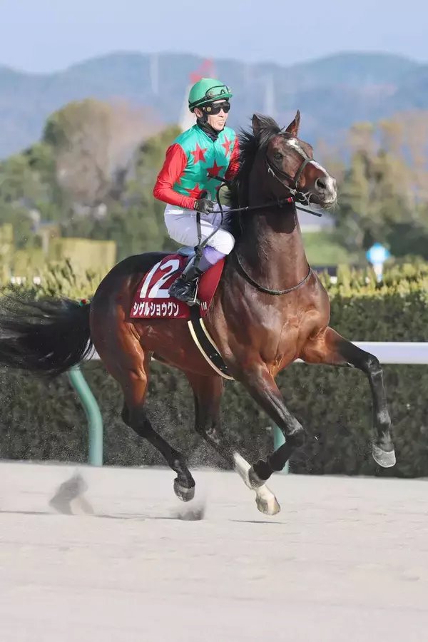 【プロキオンＳ】武豊騎手はテン乗りシゲルショウグンで１３着「スタートでダッシュがつきませんでした」