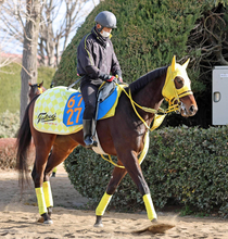 【東京新聞杯】根岸Ｓ激走バトルクライと同コンビ！エンペラーズソードに大仕事の予感　高木調教師「高速馬場は合う」