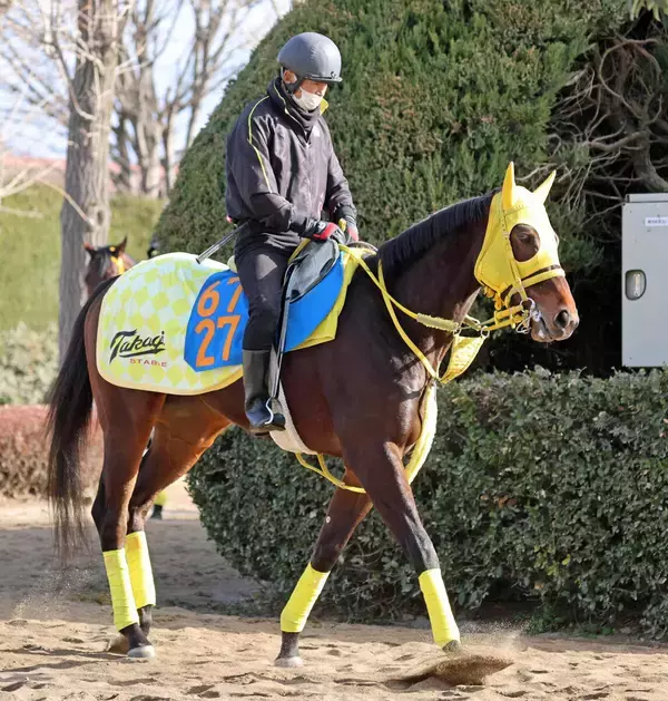 【東京新聞杯】根岸Ｓ激走バトルクライと同コンビ！エンペラーズソードに大仕事の予感　高木調教師「高速馬場は合う」