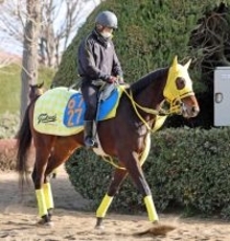 【東京新聞杯】根岸Ｓ激走バトルクライと同コンビ！エンペラーズソードに大仕事の予感　高木調教師「高速馬場は合う」