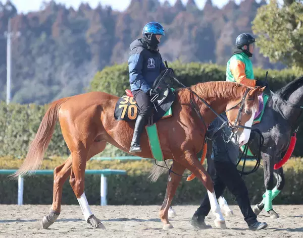 【ＰＯＧ】いかにもダートが向きそうな大型馬イーグルロック　相沢調教師「走るよ」