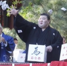 熱海富士や翠富士の活躍で期待高まる静岡県出身力士の初賜杯