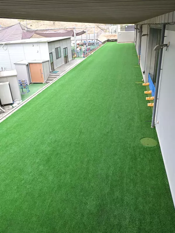 【巨人】リチャードも「うわ！変わってる！」Ｇ球場の走路などが人工芝にリニューアル　利便性グッと向上