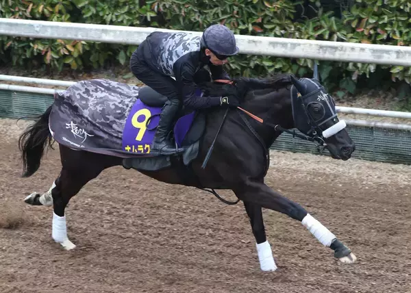 【高松宮記念】ナムラクレアがパワフルな動きで最速ラップ締め　長谷川調教師「非常に雰囲気が良かった」