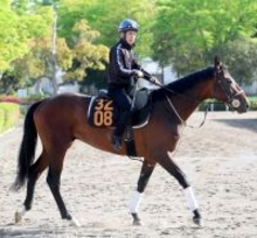 【青葉賞】ダート１２着→初芝で最低人気Ｖ　「今回もそうなれば」田島調教師は再度の大駆け期待　初の２４００に挑むケントン