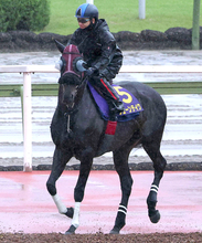 【宝塚記念】ダービージョッキー松山弘平騎手と挑むジューンテイクが巻き返しへ　陣営「全部耐えてくれて、いい経験」