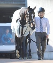 【注目馬動向】Ｇ１・２勝ノームコアの娘ドリームコアはクイーンＣへ