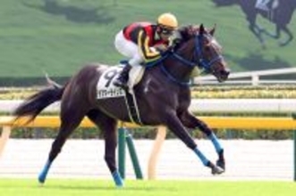 【きさらぎ賞・データ埋蔵金】少頭数のきさらぎ賞は絞って狙いたい　ＷＩＮ５とともに３連系馬券の軸はラフターラインズ