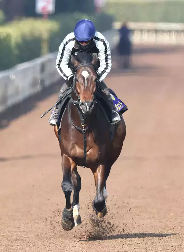 【フェブラリーＳ・１週前】ラムジェットは力強く坂路を登坂　佐々木調教師「完成されてきたね」