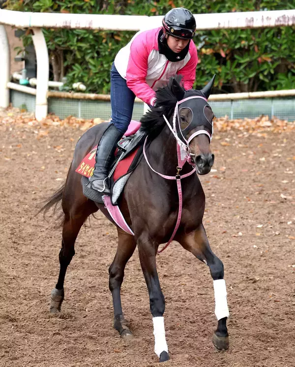 【チューリップ賞】タイセイボーグが万全の態勢で桜花賞へ　松下調教師「しまいは確実に脚を使います」