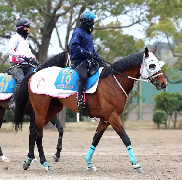 「【ダービー卿ＣＴ・浅子の特注馬】イミグラントソングの復活に期待　舞台替わり、のど手術と一変の可能性あり」の画像