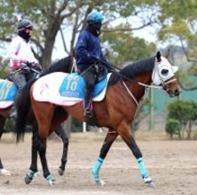 【ダービー卿ＣＴ・浅子の特注馬】イミグラントソングの復活に期待　舞台替わり、のど手術と一変の可能性あり