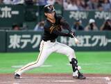 「【巨人】ノってる男は運もついてくる？平山功太が止めたバットでラッキー内野安打　ベース上で思わず笑み」の画像1