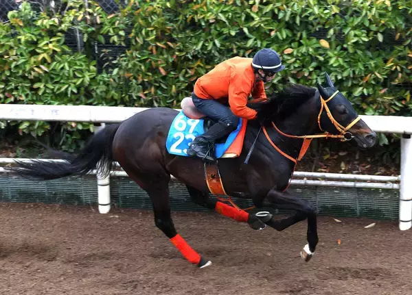 【函館記念・理貴の特注馬】武豊騎手と８戦ぶりにコンビ復活のケイアイセナ　昨夏レコード駆けの函館で躍動