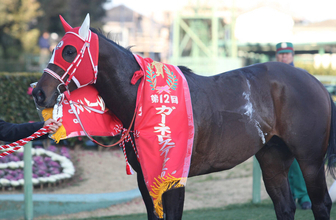 タイセイアトムが２３歳で死す…０８年ガーネットＳ勝ち馬　山形県で余生過ごす