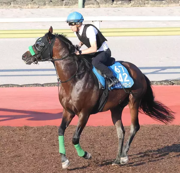 【関屋記念】しらさぎＳで差し切り勝ちのエルトンバローズ　「ああいうレースもできるんだと思った」と陣営も手応え