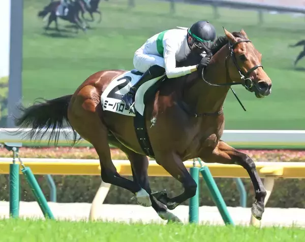 驚異の末脚で差し切った３歳馬に衝撃走る「鳥肌立った」「噂には聞いてた」　中京６Ｒで３勝目を挙げたトミーバローズ