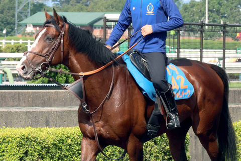 【札幌記念】札幌で好走率が大幅にアップする種牡馬が見逃せない！狙いは経験値あるハービンジャー産駒の２頭