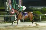 「【九州ＣＳ】フォードテソーロが再転入初戦で重賞初制覇　鞍上は道営の石川倭騎手」の画像1