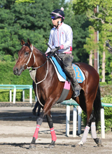 【京成杯ＡＨ】ファンダムがサマーマイルシリーズ逆転優勝へ　辻師「しまいの脚につなげる方が良さそう」