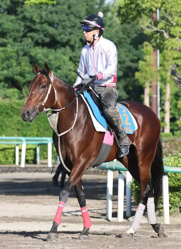 【京成杯ＡＨ】ファンダムがサマーマイルシリーズ逆転優勝へ　辻師「しまいの脚につなげる方が良さそう」