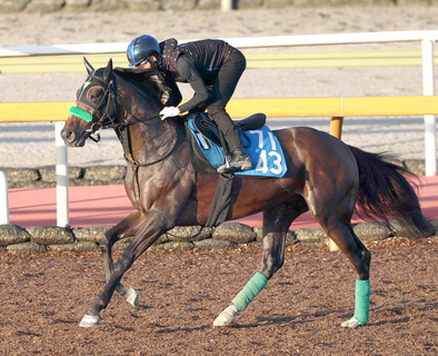 【チャレンジＣ】もう銀メダルはいらない　ジョバンニが得意舞台で初タイトルへ　杉山晴調教師「しっかりしてきた」