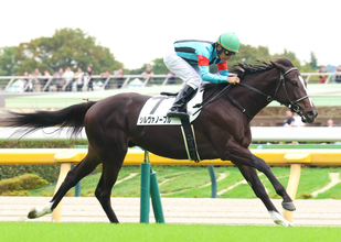【東京５Ｒ・２歳新馬】メンバー唯一の関西馬シルヴァノーブルが３馬身半差逃げ切りＶ　昆調教師「言うことなし」