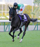 「【阪神ＪＦ】１番人気のアランカールはまさかの５着　北村友一騎手「僕自身、器用なレースができれば…」」の画像1