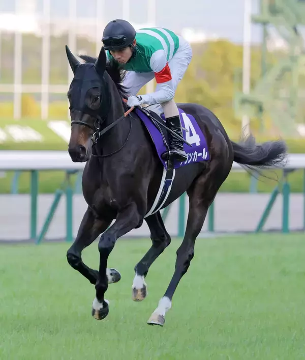 【阪神ＪＦ】１番人気のアランカールはまさかの５着　北村友一騎手「僕自身、器用なレースができれば…」