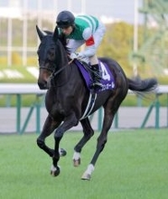 【阪神ＪＦ】１番人気のアランカールはまさかの５着　北村友一騎手はレシステンシア以来６年ぶりＶならず