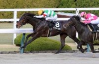 【阪神９Ｒ・ポインセチアＳ】初ダートの６番人気ロックターミガン逃げ切る　松山弘平騎手「しぶとく、強い競馬」