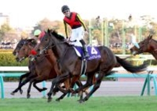 【有馬記念】売得金は１９９９年グラスワンダー、スペシャルウィークの鼻差決着以来の７００億円超え　２１世紀最高額