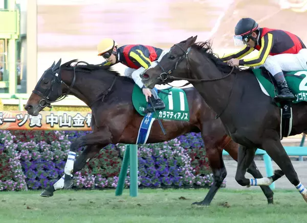 【中山金杯】カラマティアノス、わずか２センチの鼻差でうれしい重賞初制覇　