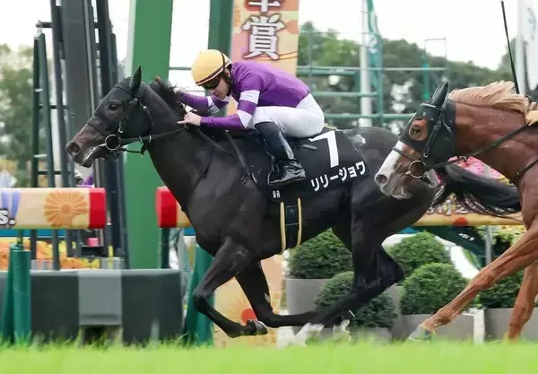 桜花賞最有力に浮上！？「なんだこいつｗ」「距離もつなら…」紅梅Ｓで無傷３連勝のリリージョワに衝撃走る