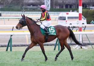 ２３年ＮＨＫマイルＣ２着のウンブライルが引退、繁殖入りへ　東京新聞杯がラストラン