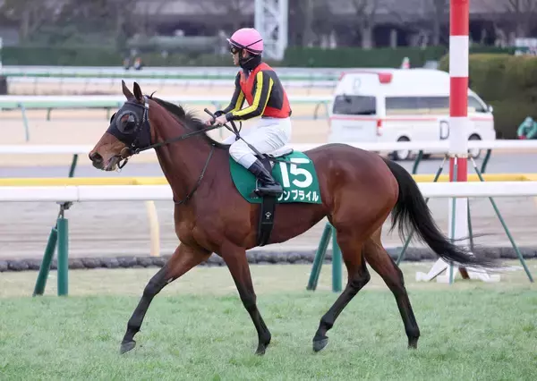 ２３年ＮＨＫマイルＣ２着のウンブライルが引退、繁殖入りへ　東京新聞杯がラストラン