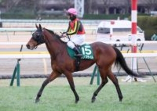 ２３年ＮＨＫマイルＣ２着のウンブライルが引退、繁殖入りへ　東京新聞杯がラストラン