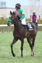 【注目馬動向】小倉大賞典で重賞初Ｖタガノデュードは大阪杯を視野　父ヤマカツエースは１７年３着、１８年４着