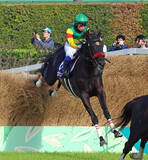 「【中山グランドＪ】「ターフビジョンを確認したら...」草野太郎騎手も驚く強さ　絶対王者エコロデュエルが大差で連覇達成　」の画像1