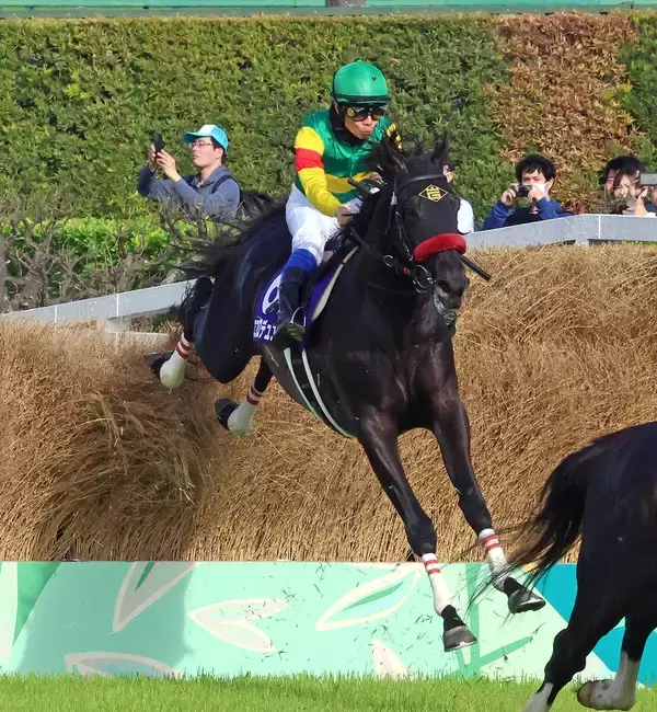 【中山グランドＪ】「ターフビジョンを確認したら...」草野太郎騎手も驚く強さ　絶対王者エコロデュエルが大差で連覇達成　