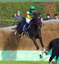 【中山グランドＪ】絶対王者エコロデュエルが大差で連覇達成　中山大障害以来のＪＧ１・３連勝