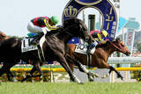 「【初めてのダービー３】２０１２年勝者敗者が涙 特別なレース...ディープブリランテ世代の西山智昭記者～スポーツ紙・夕刊紙８紙特別企画～」の画像1