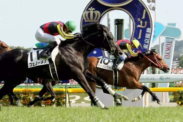 【初めてのダービー３】２０１２年勝者敗者が涙 特別なレース...ディープブリランテ世代の西山智昭記者～スポーツ紙・夕刊紙８紙特別企画～