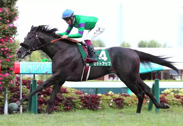 ２３年札幌２歳Ｓ覇者セットアップが競走馬登録を抹消
