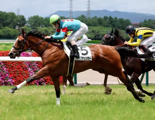 【阪神５Ｒ・２歳新馬】北村友一騎手騎乗のトップチェッカーが快勝　武英調教師「今の状態でこれだけ強い勝ち方」