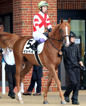 【函館５Ｒ】５０００勝目前の武豊騎手はイッペイで首差２着　「調教の動きより良かったです」　勝ち馬に迫り大歓声も