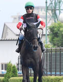 「【注目馬動向】３歳牝馬の新星モンローウォークは秋華賞直行かトライアルを挟むかを検討　上村調教師「確実に出せるように」」の画像1